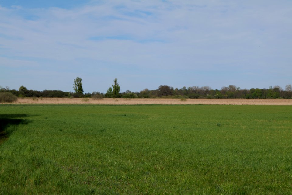 Notte-Niederung 2021-05-09 34