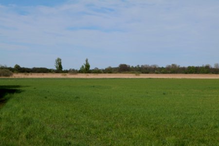 Notte-Niederung 2021-05-09 34