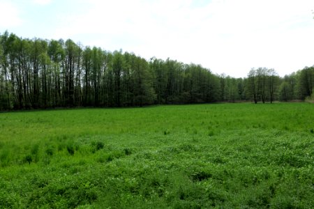 Notte-Niederung 2021-05-11 120