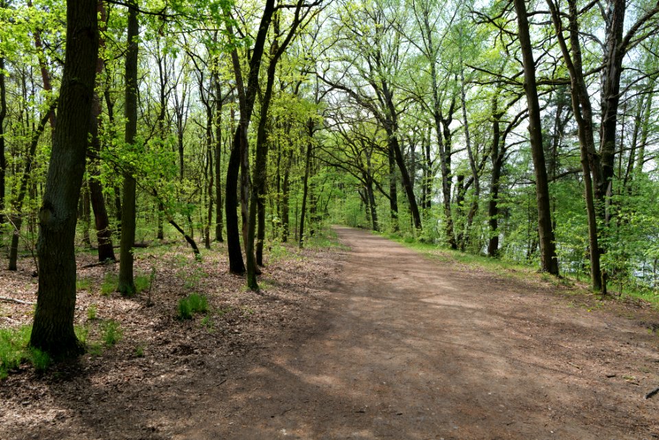 Notte-Niederung 2021-05-11 18