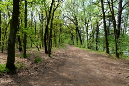 Notte-Niederung 2021-05-11 18