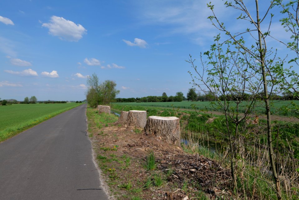 Notte-Niederung 2021-05-11 205