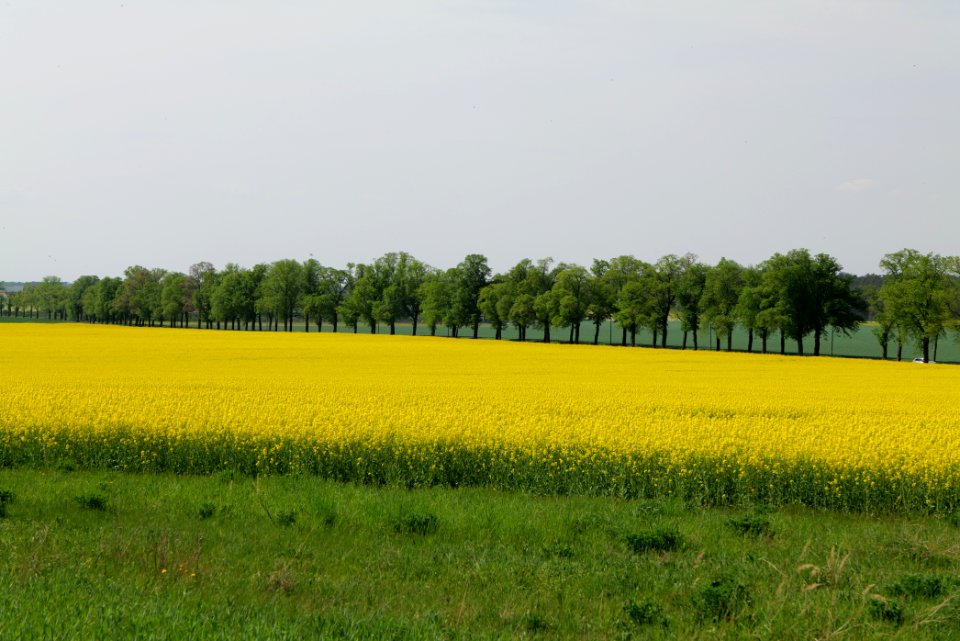 Notte-Niederung 2021-05-11 175