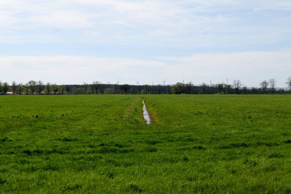 Notte-Niederung 2021-05-09 37