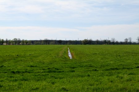 Notte-Niederung 2021-05-09 37