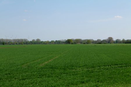 Notte-Niederung 2021-05-11 216