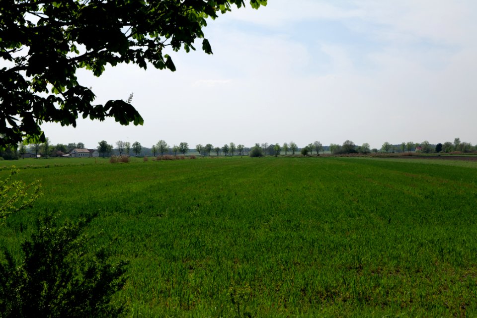 Notte-Niederung 2021-05-11 211