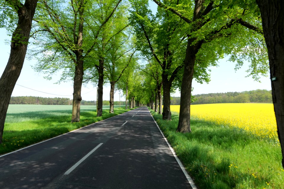 Notte-Niederung 2021-05-11 158