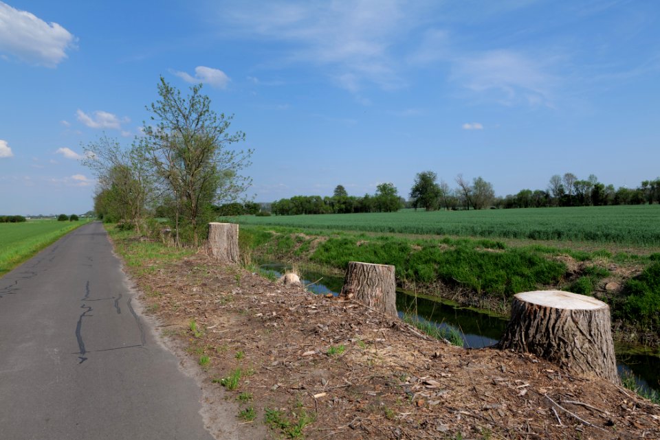 Notte-Niederung 2021-05-11 207