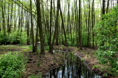 Notte-Niederung 2021-05-11 127