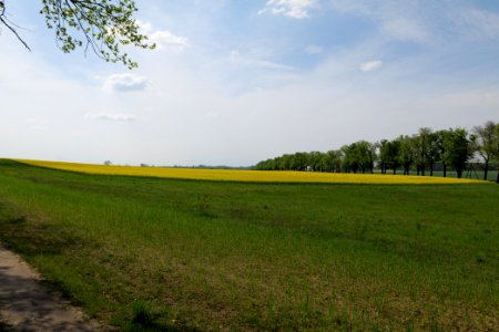 Notte-Niederung 2021-05-11 160