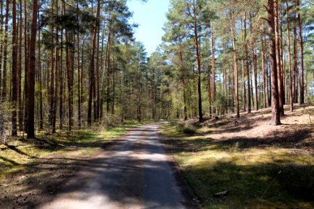 Notte-Niederung 2021-05-09 20