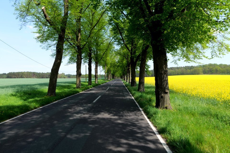 Notte-Niederung 2021-05-11 156