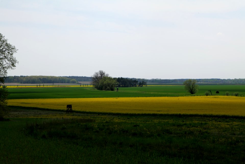 Notte-Niederung 2021-05-11 190