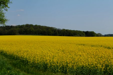 Notte-Niederung 2021-05-11 152