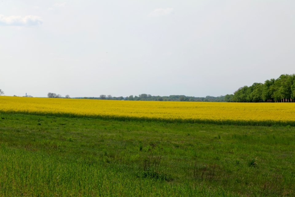 Notte-Niederung 2021-05-11 162