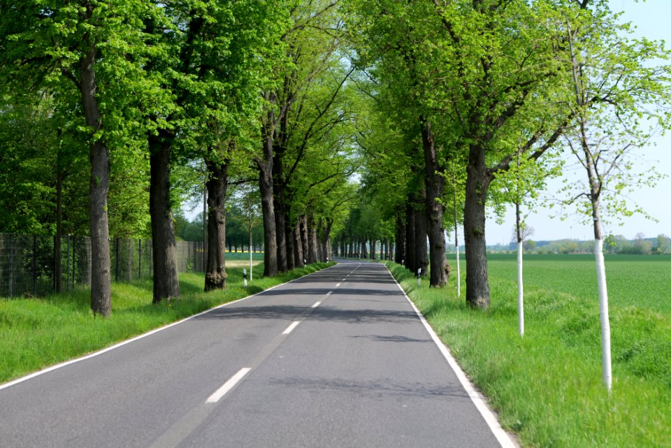 Notte-Niederung 2021-05-11 149