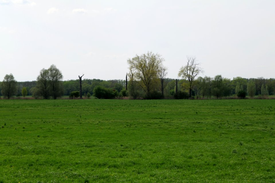 Notte-Niederung 2021-05-11 144
