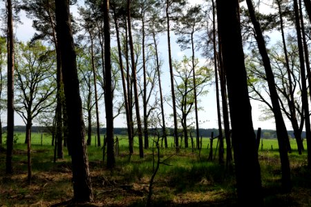 Notte-Niederung 2021-05-11 194
