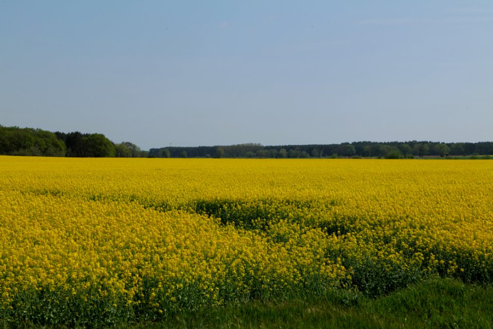 Notte-Niederung 2021-05-11 155