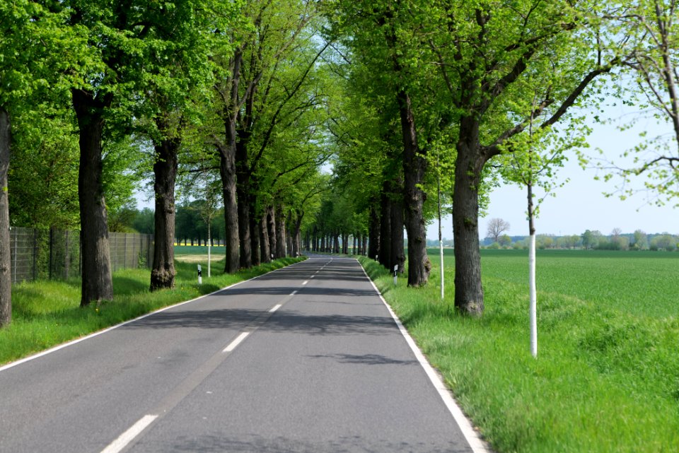 Notte-Niederung 2021-05-11 151