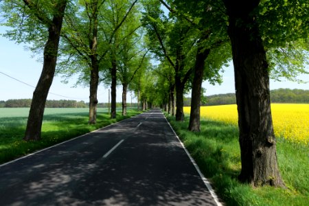 Notte-Niederung 2021-05-11 157