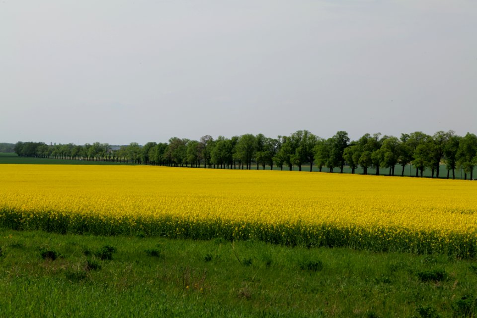 Notte-Niederung 2021-05-11 174