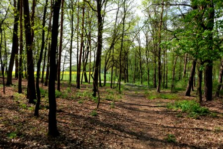Notte-Niederung 2021-05-11 184