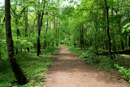 Notte-Niederung 2021-05-11 23