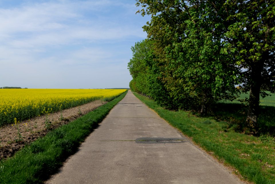 Notte-Niederung 2021-05-11 219
