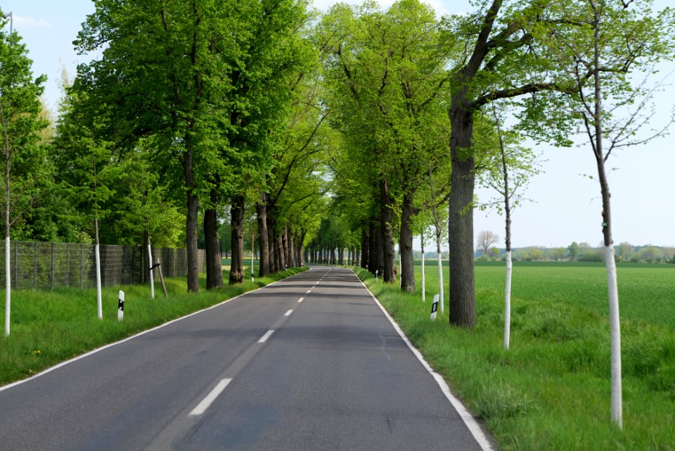Notte-Niederung 2021-05-11 146