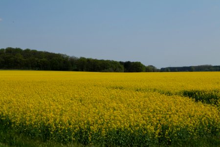 Notte-Niederung 2021-05-11 153