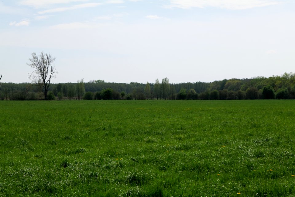 Notte-Niederung 2021-05-11 132