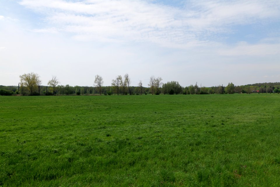 Notte-Niederung 2021-05-11 140