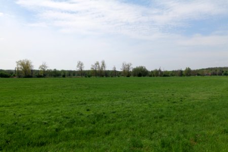 Notte-Niederung 2021-05-11 140