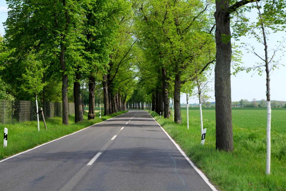 Notte-Niederung 2021-05-11 148