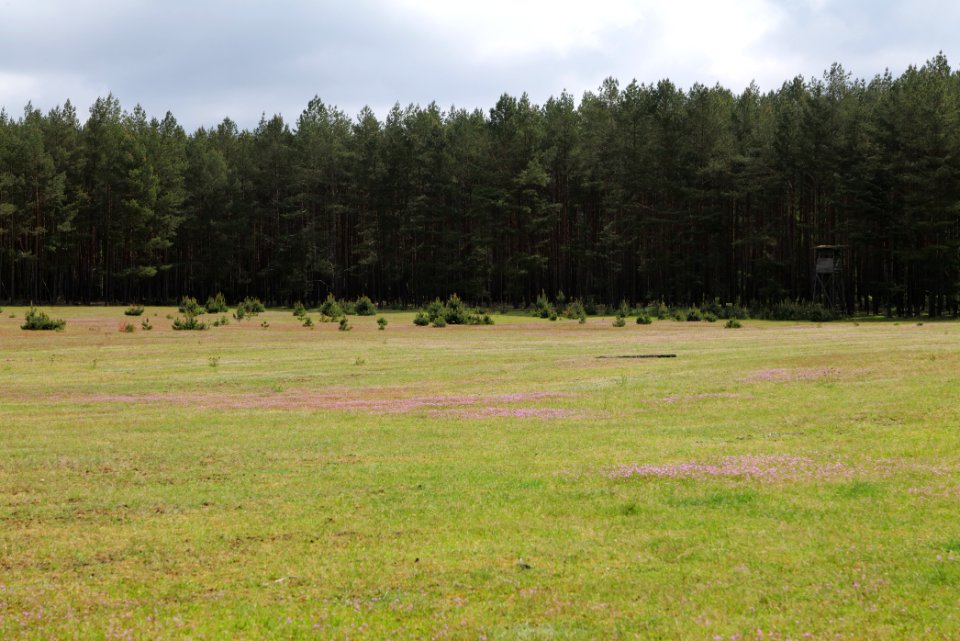 NSG Kleine Schorfheide 2021-05-29 41