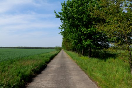 Notte-Niederung 2021-05-11 222