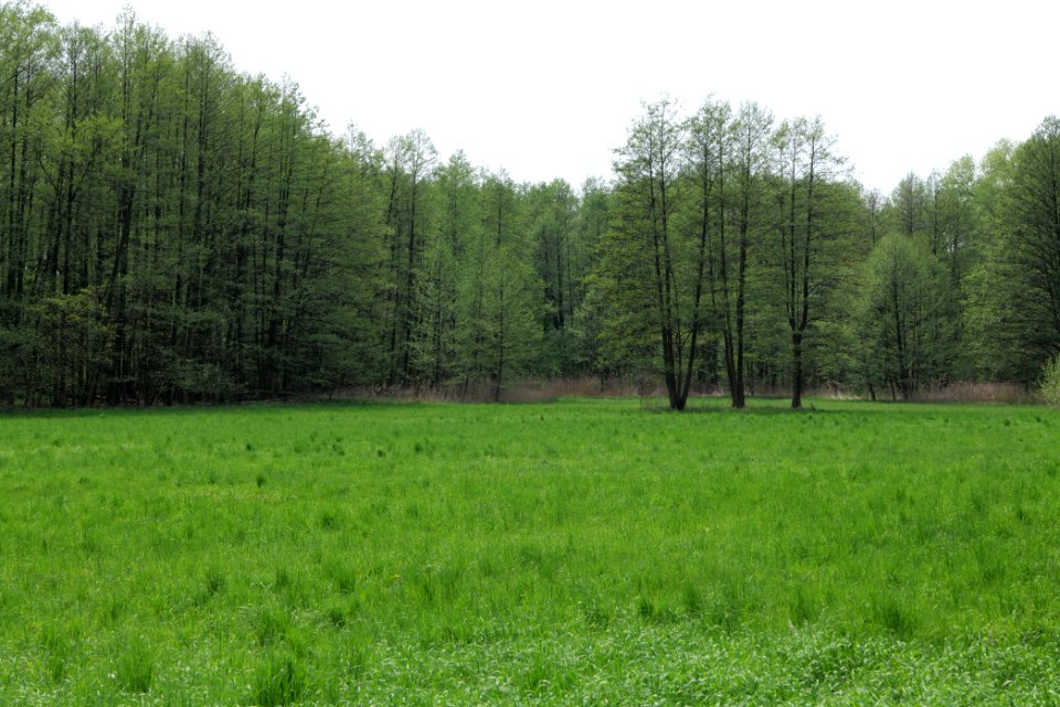 Notte-Niederung 2021-05-11 122