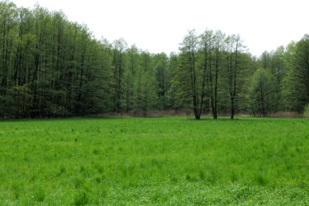 Notte-Niederung 2021-05-11 122