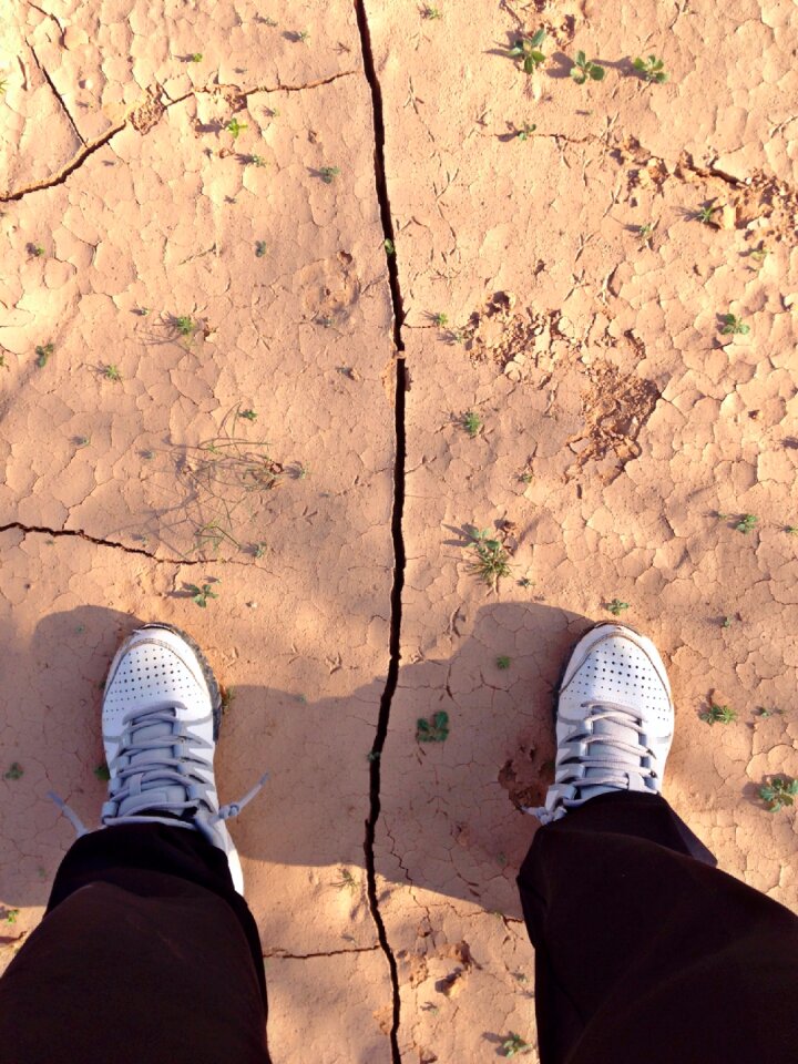 Earth legs international
