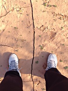 Earth legs international