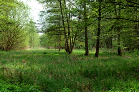 Notte-Niederung 2021-05-11 130