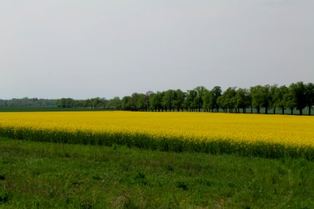 Notte-Niederung 2021-05-11 165