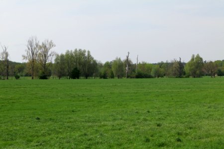 Notte-Niederung 2021-05-11 141