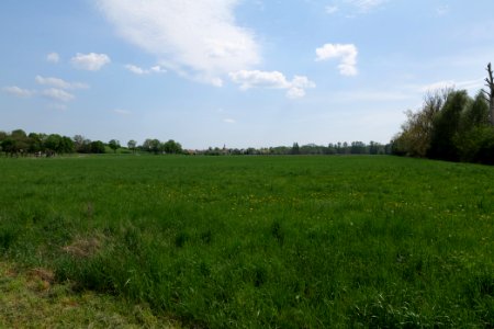 Notte-Niederung 2021-05-11 134