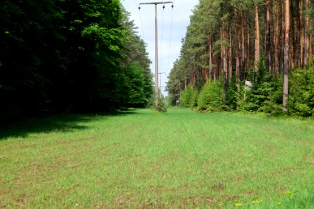 NSG Kleine Schorfheide 2021-05-29 179