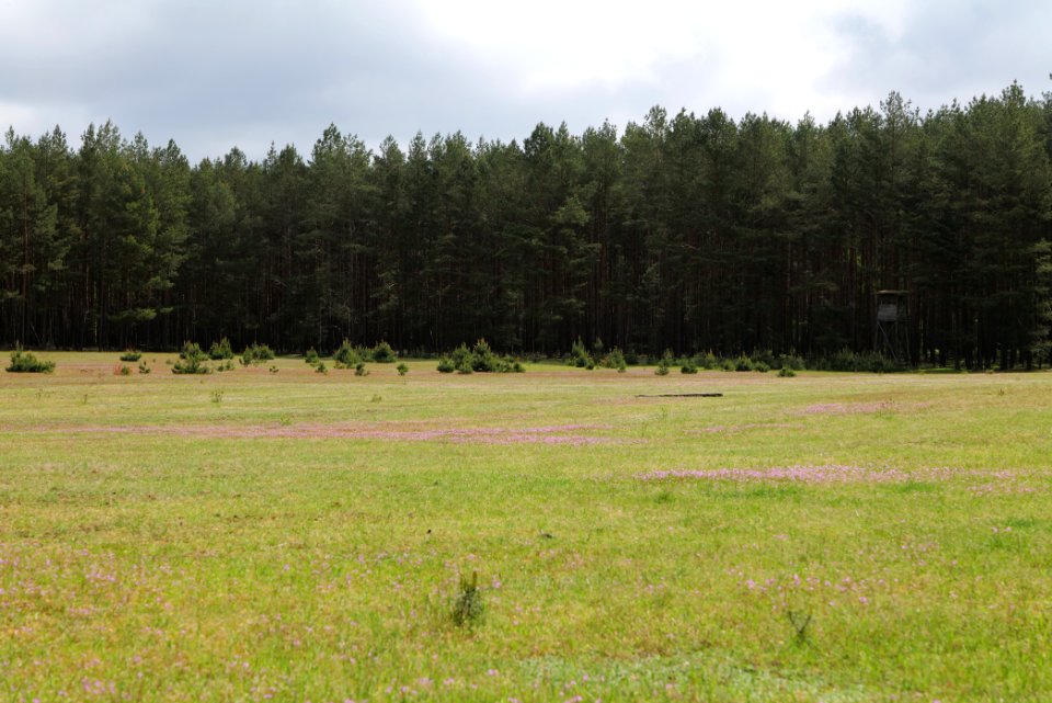 NSG Kleine Schorfheide 2021-05-29 42