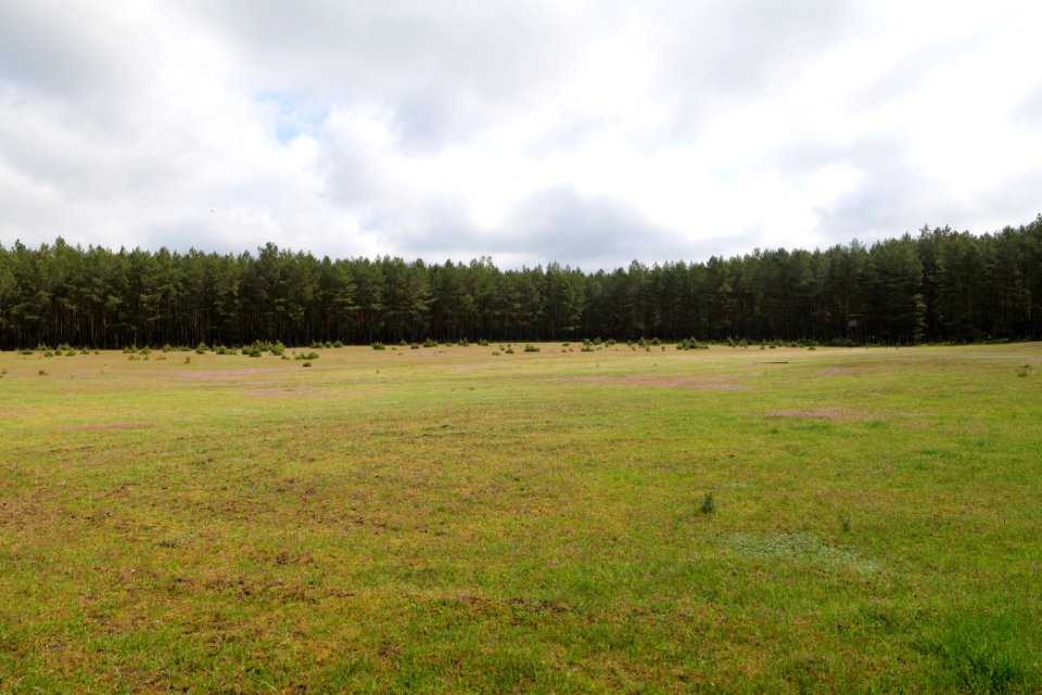 NSG Kleine Schorfheide 2021-05-29 38