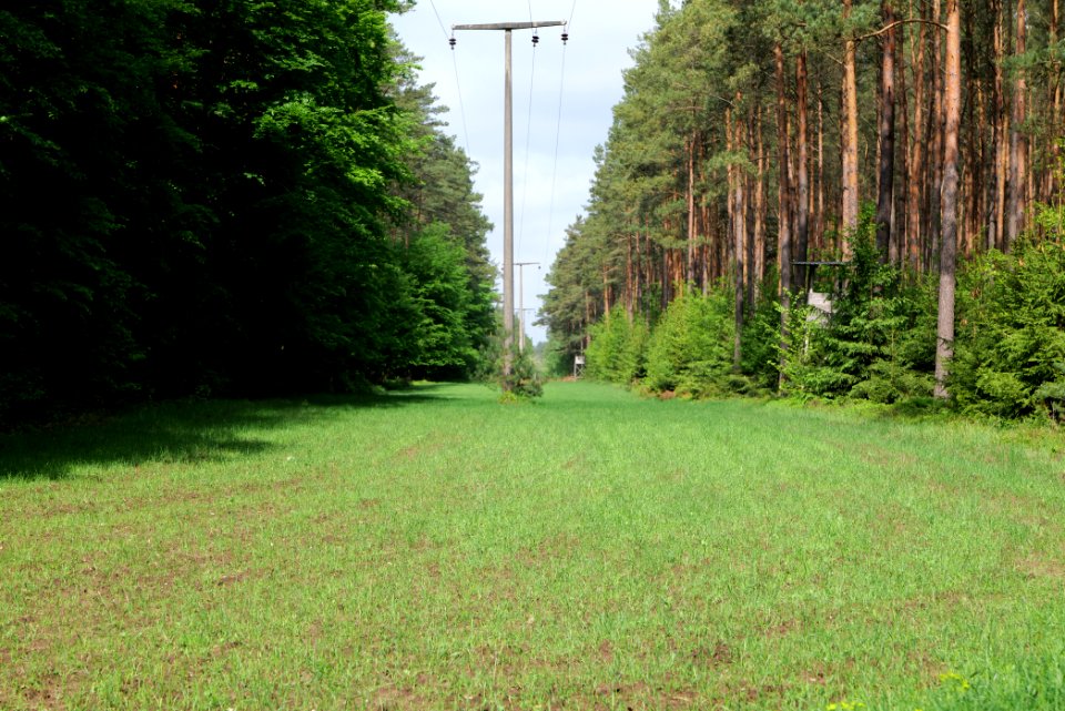 NSG Kleine Schorfheide 2021-05-29 178